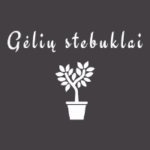 Pagrindinis 4 geliustebuklai.lt