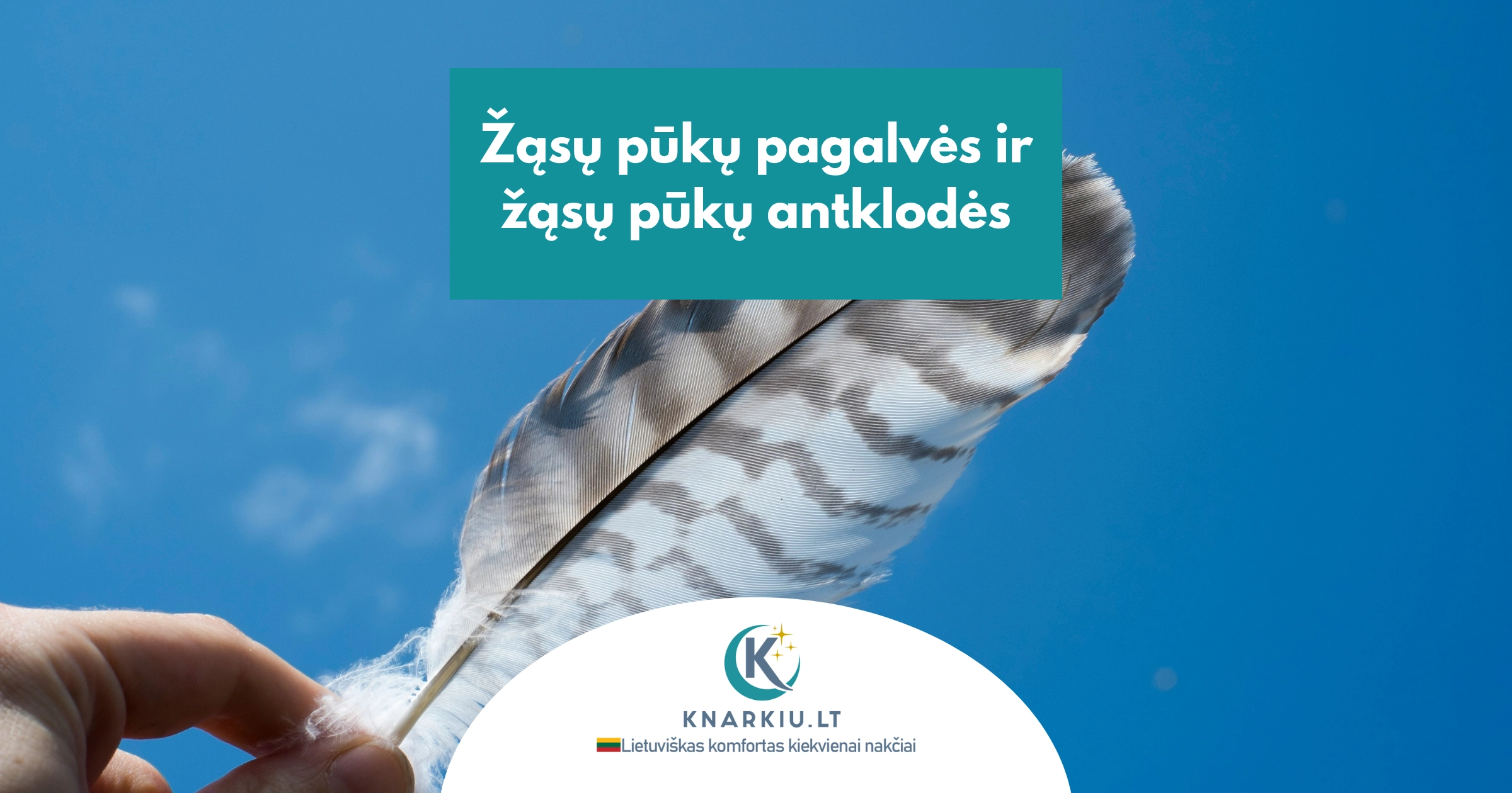 Žąsų pūkų pagalvės ir žąsų pūkų antklodės