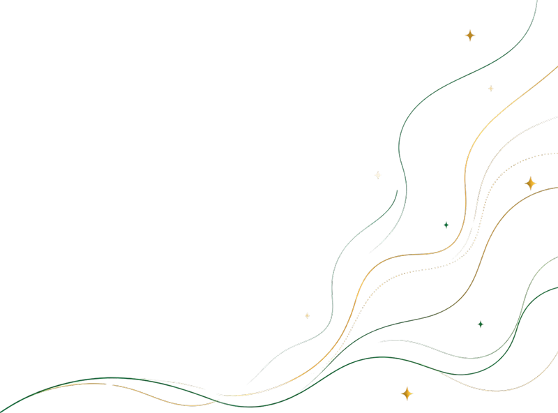 linijosetikra